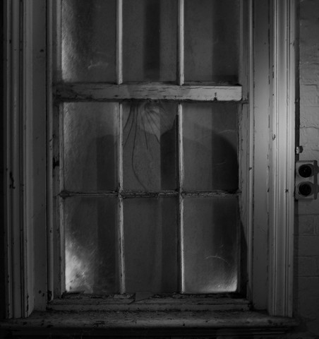 LookingPhotography by Graeme Milsome